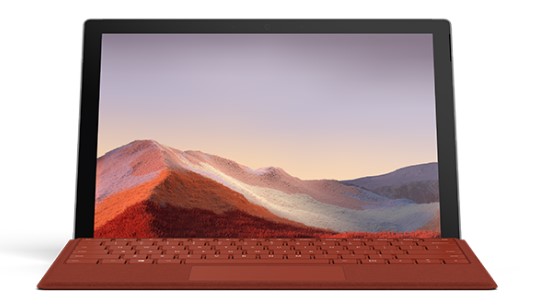 柏乡清洁和维护 Surface